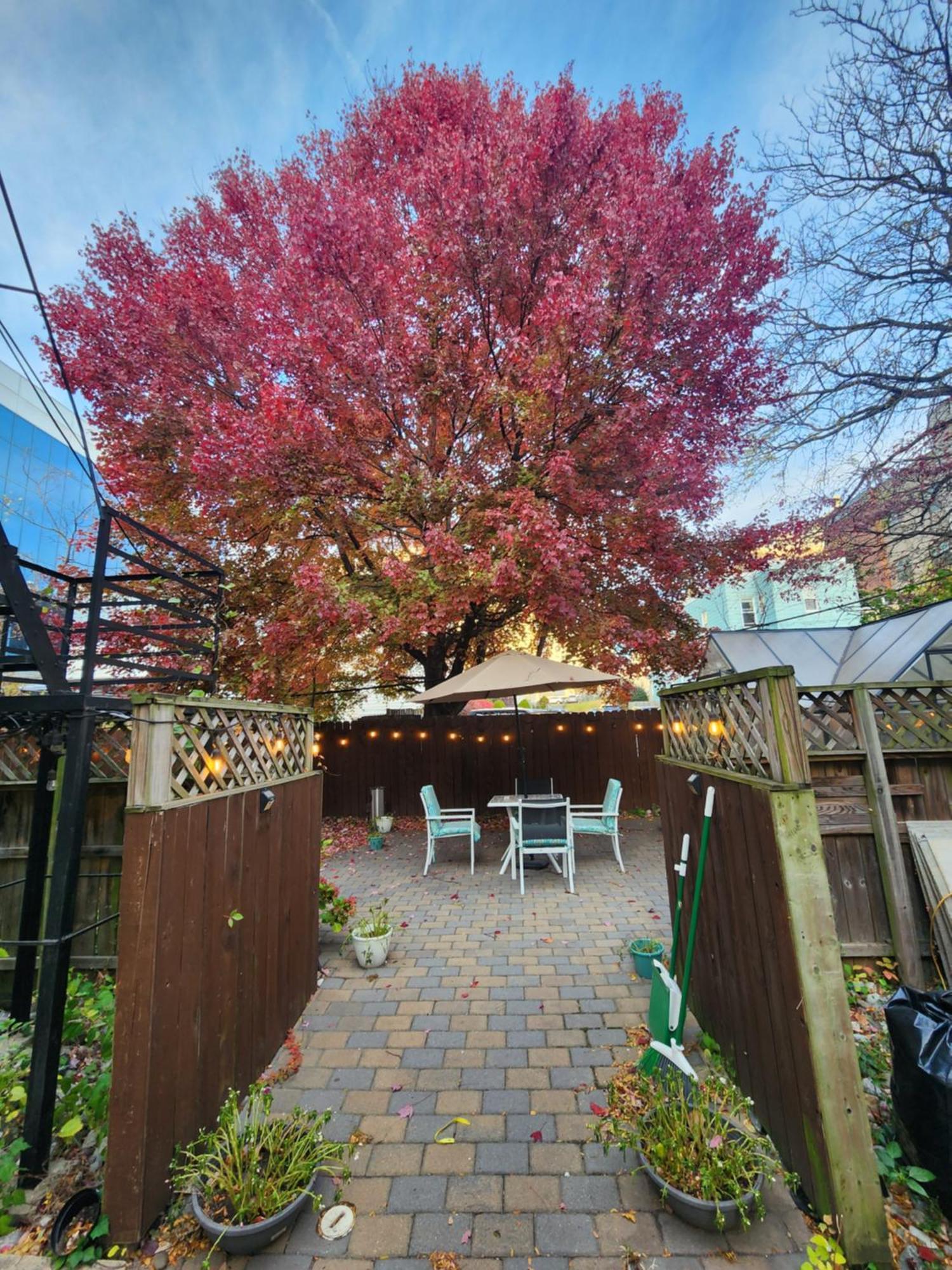 Magnolia Stay Near New York City Jersey City Kültér fotó
